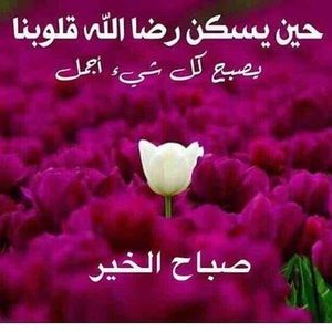 Meet your Posher, Khitam